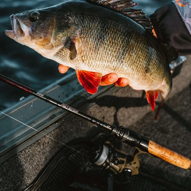 Savage Gear Thoriz Spinning Reels